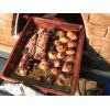 Cuptor traditional pentru pizza pe lemne Maximus negru - 32
