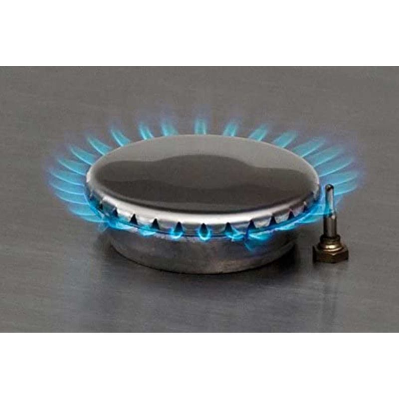 Aragaz de camping portabil pe gaz Enders Brisbane 2Z cu valva de siguranta 1860 - 4