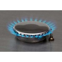 Aragaz de camping portabil pe gaz Enders Brisbane 2Z cu valva de siguranta 1860 - 4