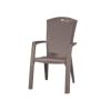Scaun cappuccino Keter Minnesota - 1