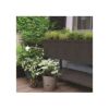 Rasadnita antracit cu etajera Keter Urban Bloomer XL - 3