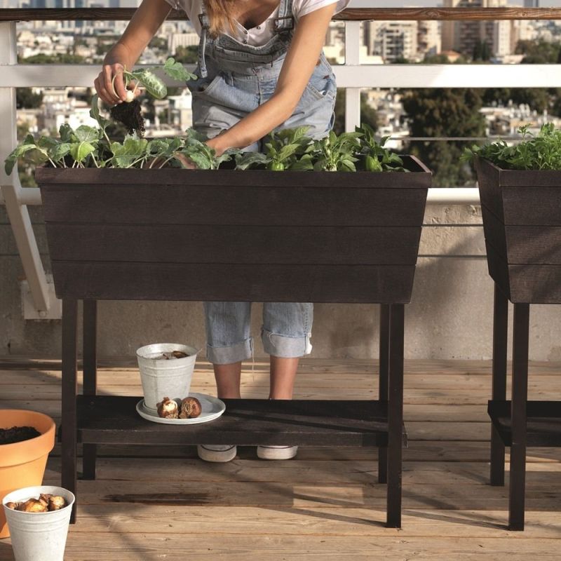 Rasadnita maro cu etajera Keter Urban Bloomer - 3