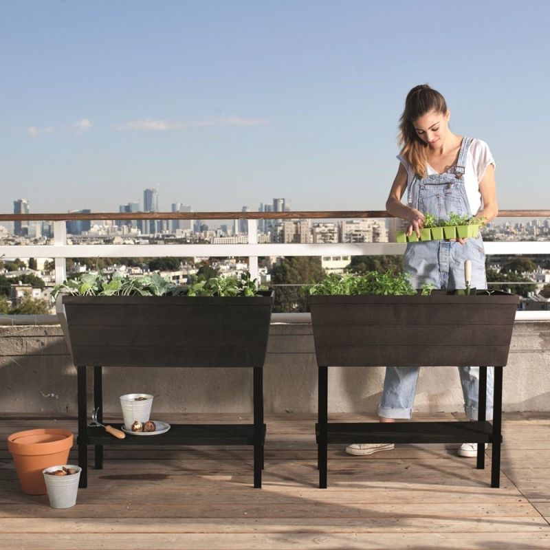 Rasadnita maro cu etajera Keter Urban Bloomer - 5