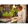 Feliator pentru pizza Cozze diametru 10 cm 90363 - 6