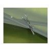 Perete lateral impermeabil pentru pavilion Cattara 2 x 3m verde - TT13340 - 5