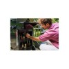 Gratar pe gaz Char-Broil Essential 3 G cu 3 arzatoare, grile din fonta, TRU-Infrared 140234 - 9
