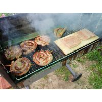 Gratar pe carbuni Dancook 7500 - 5