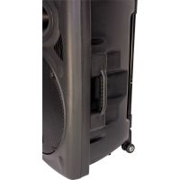 Boxa activa portabila Ibiza difuzor 38CM USB MP3 PORT15VHF-BTWH - 17